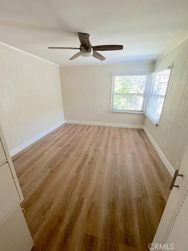 666 Glenneyre Street