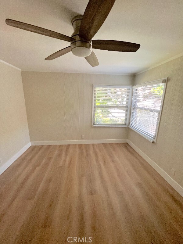 666 Glenneyre Street