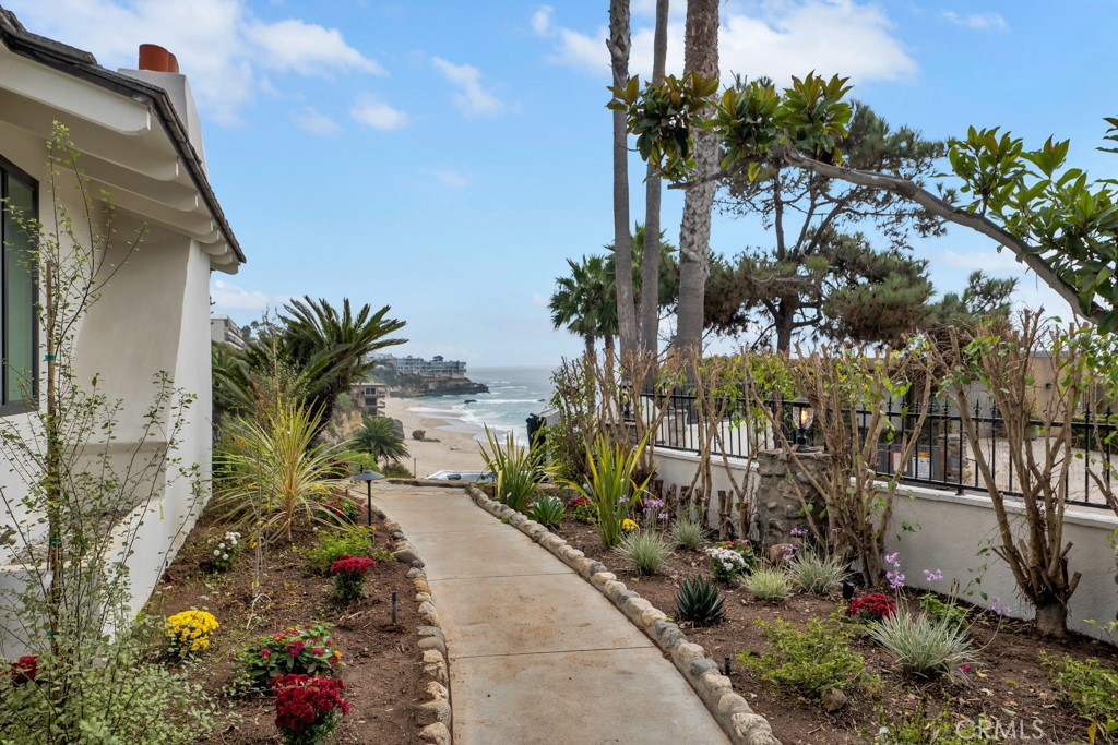 10 Camel Point