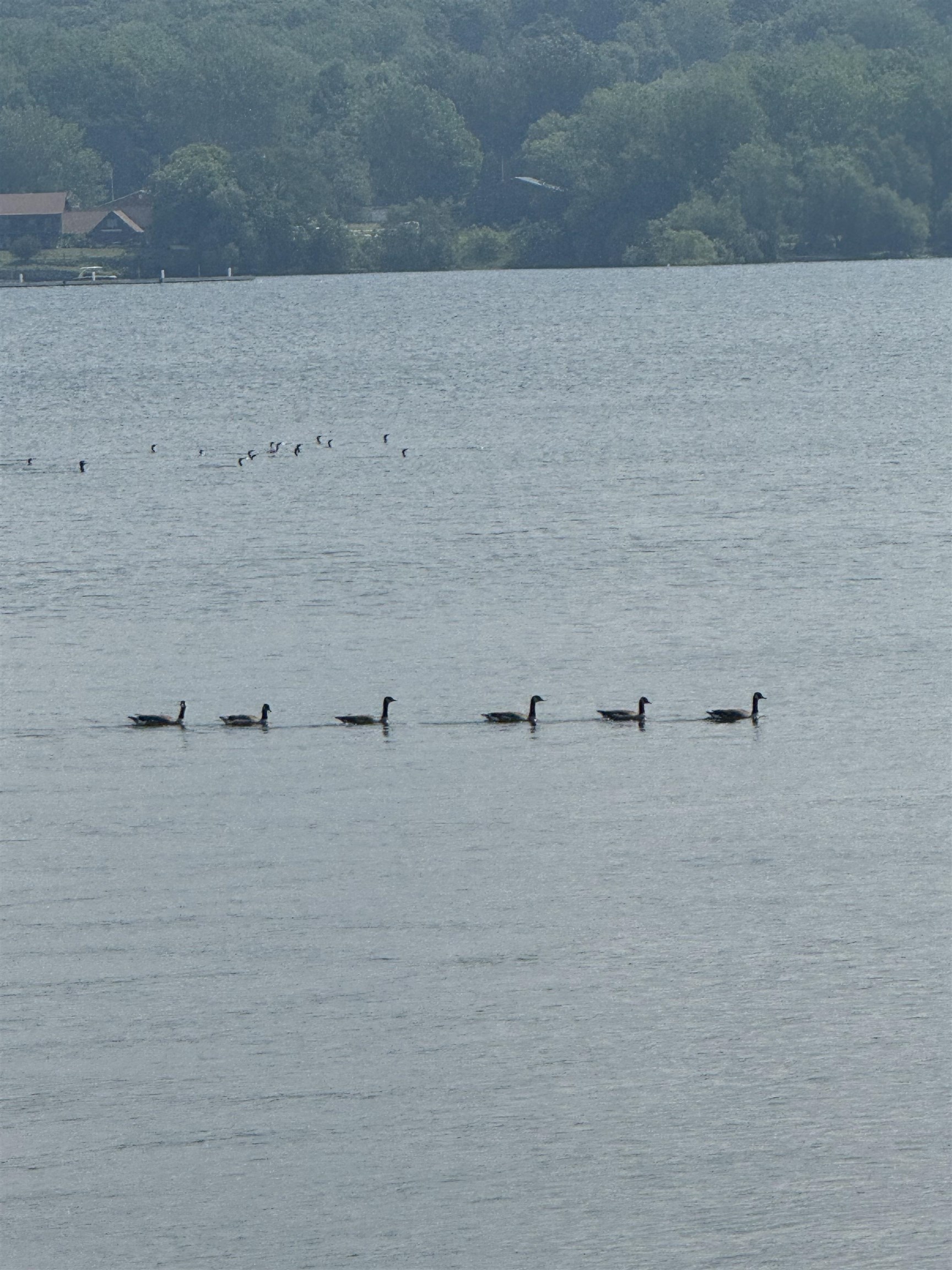 1 Meadow View Drive Unit: 8