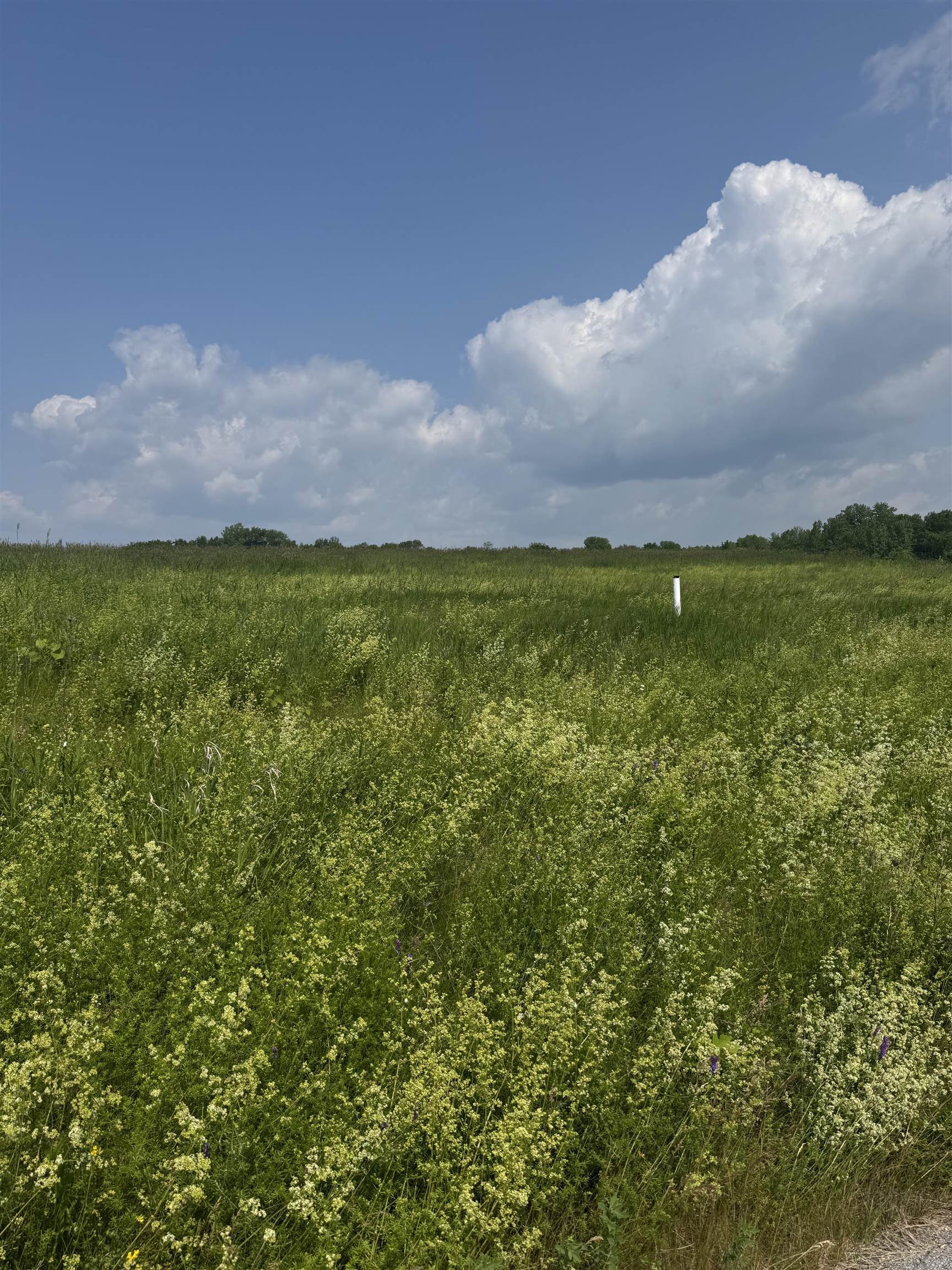 1 Meadow View Drive Unit: 8