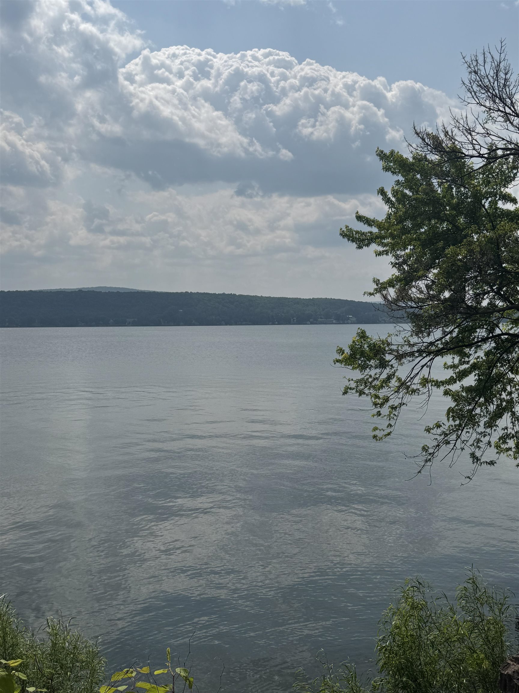 1 Meadow View Drive Unit: 8