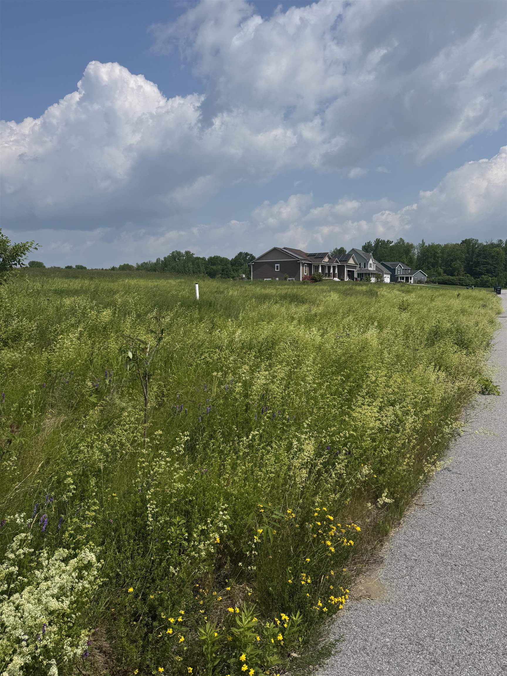 1 Meadow View Drive Unit: 8