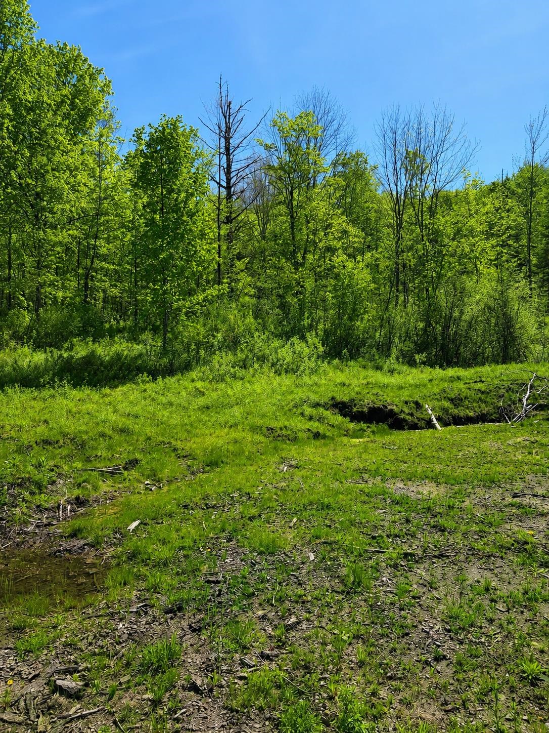 0 Blake Hill Road