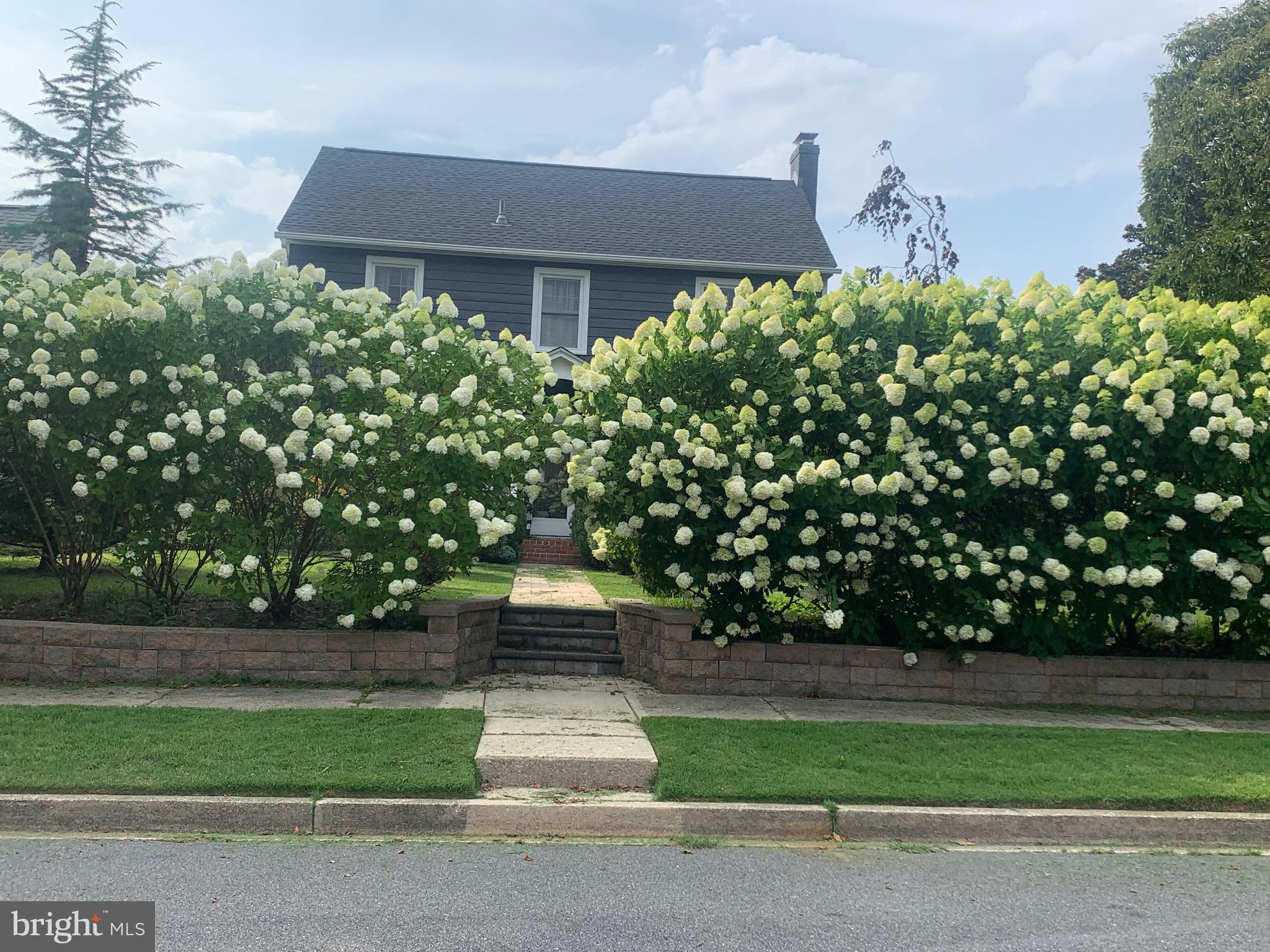 517 GREENHILL ROAD
