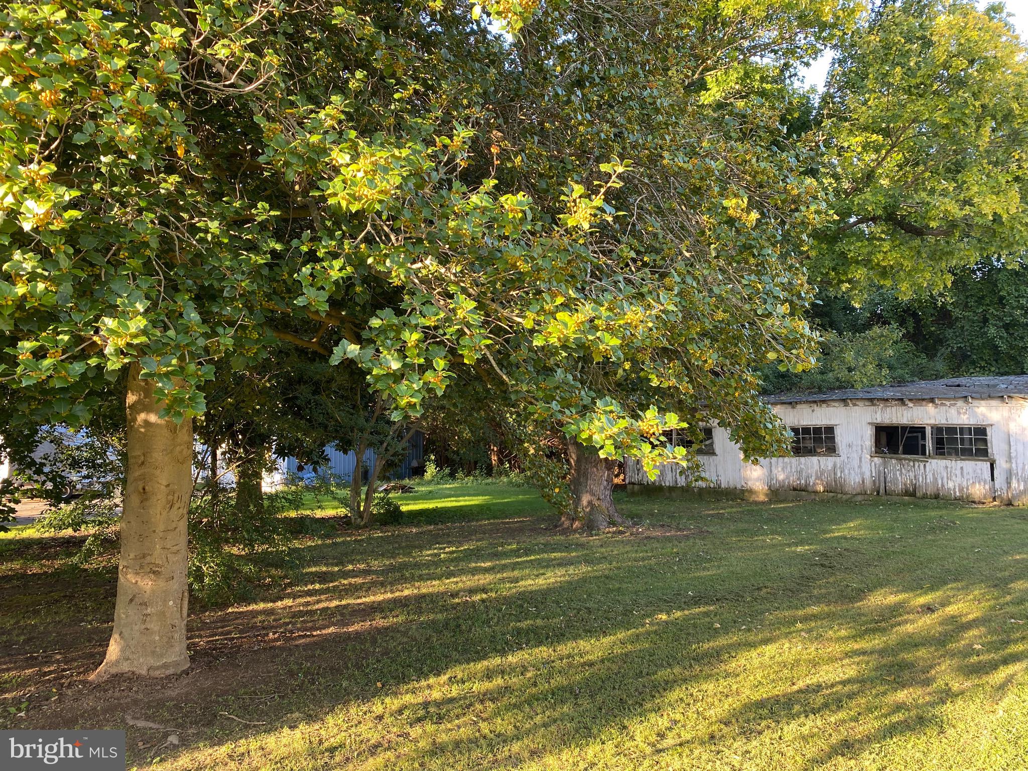 38 N MAIN STREET