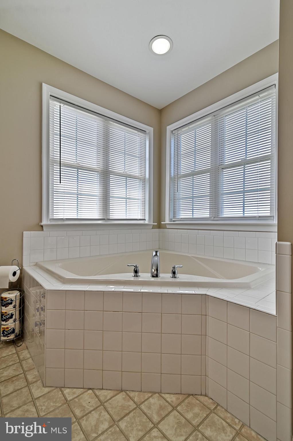 13 TRUMPETER SWAN WAY