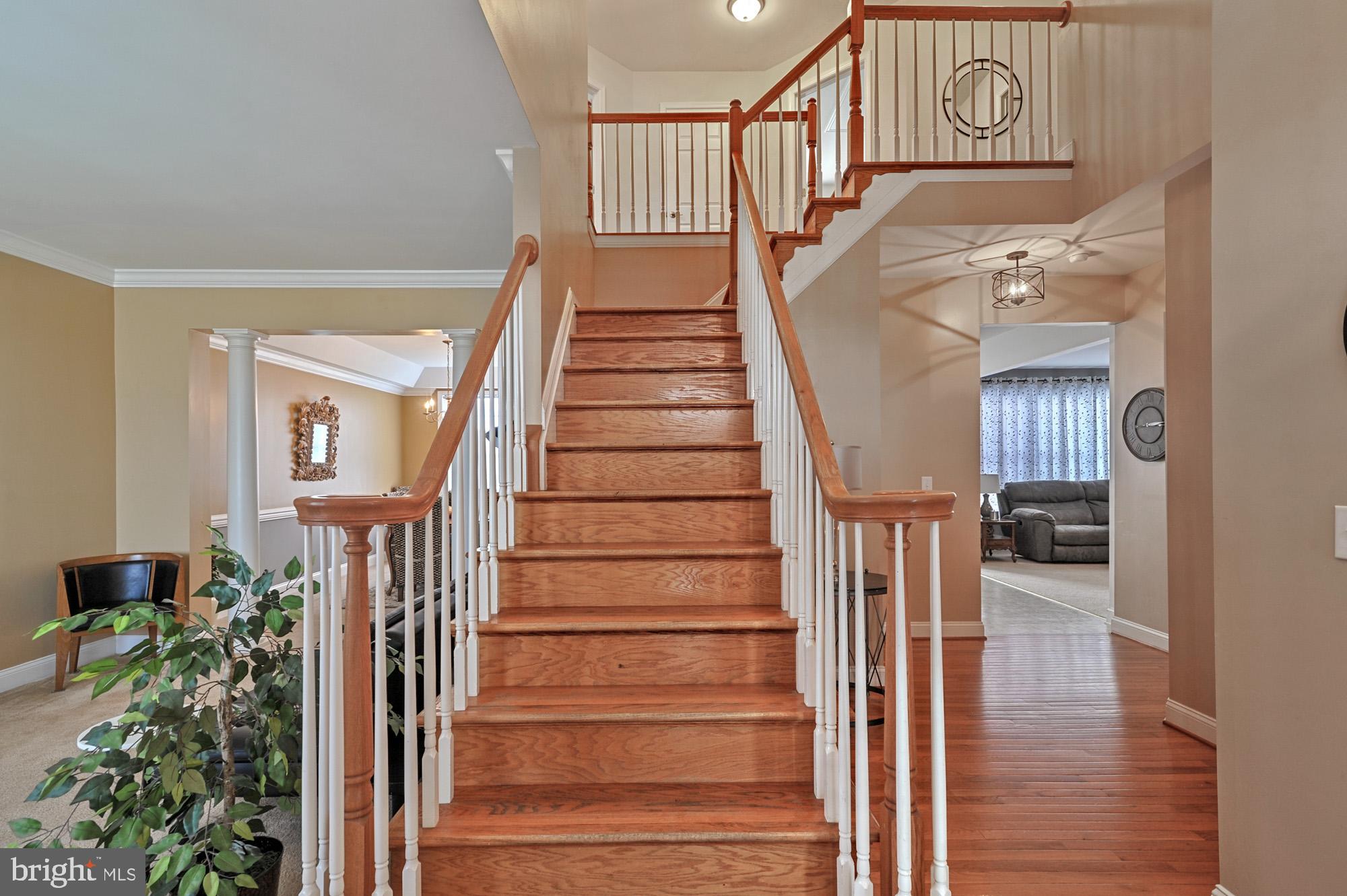 13 TRUMPETER SWAN WAY