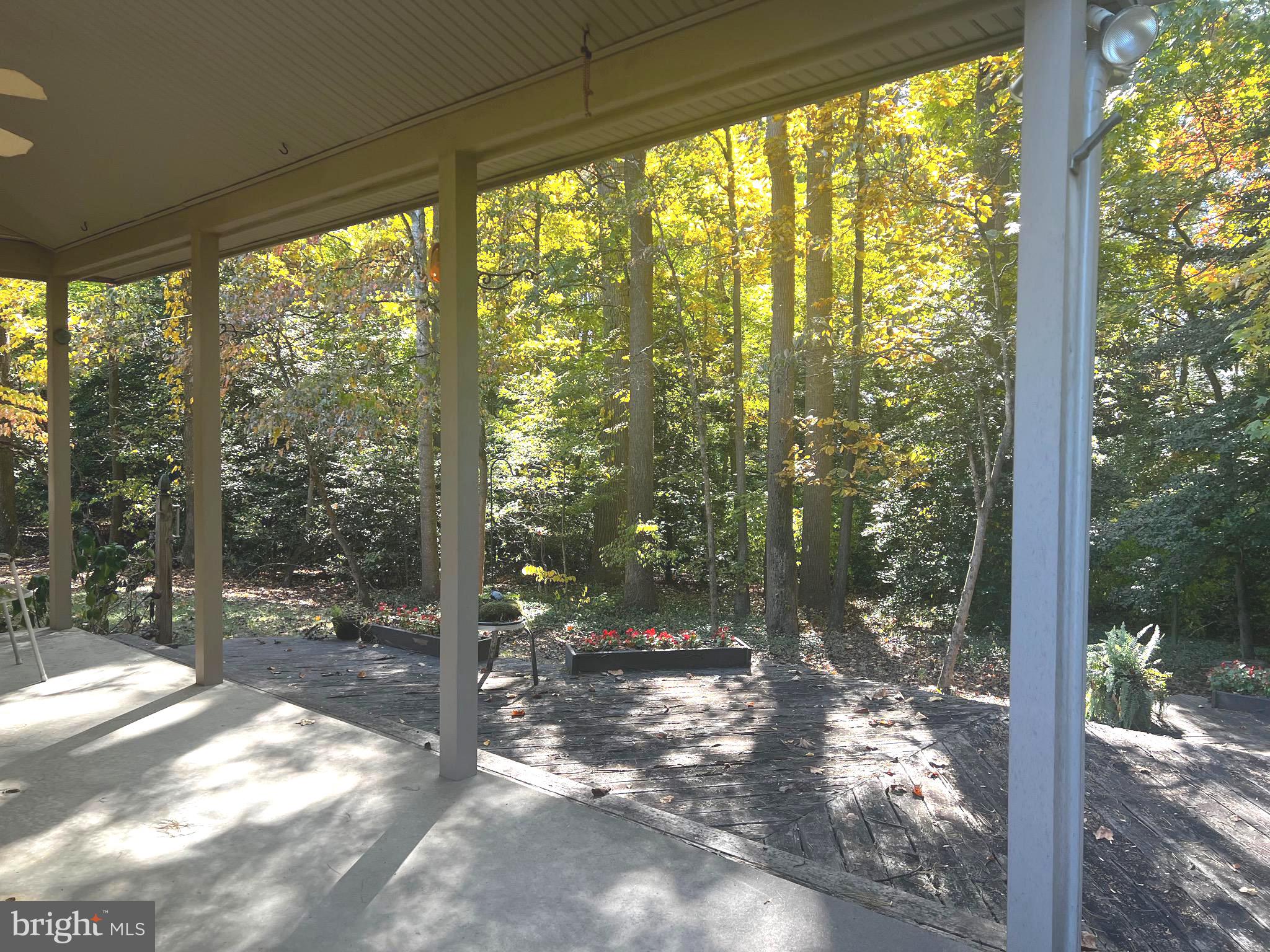 721 GREEN WINGED TRAIL