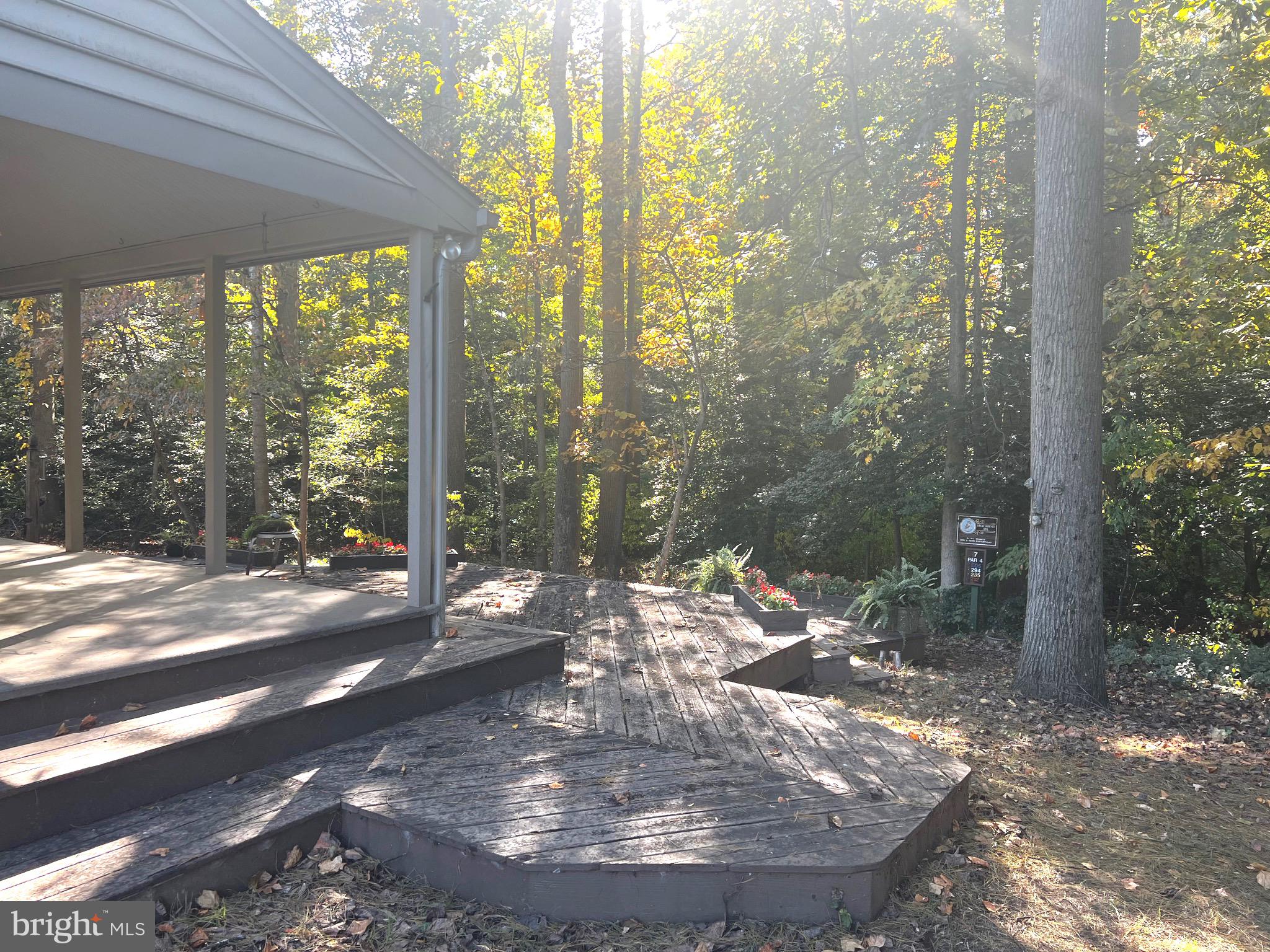 721 GREEN WINGED TRAIL