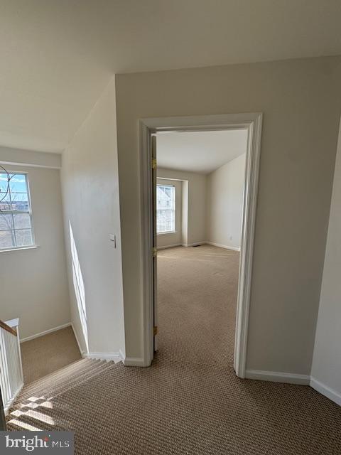 247 SHELDRAKE E