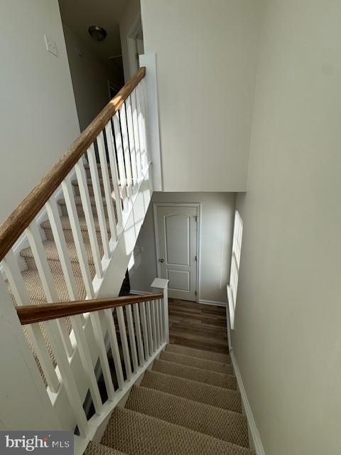 247 SHELDRAKE E
