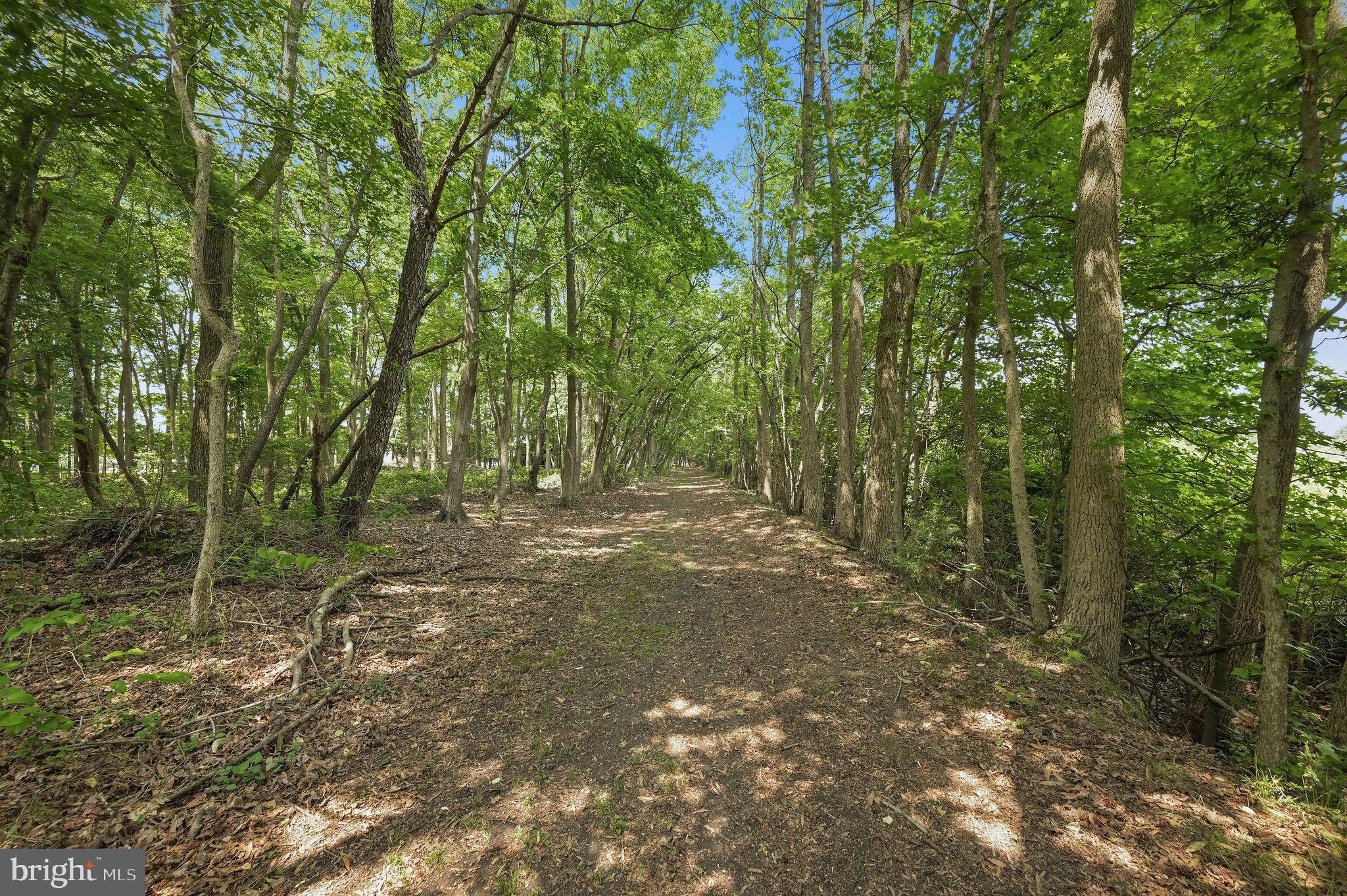 421 ANDREWVILLE ROAD