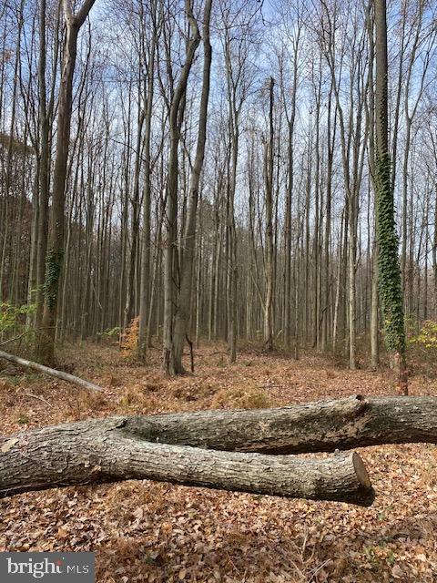 206 WELSH TRACT ROAD