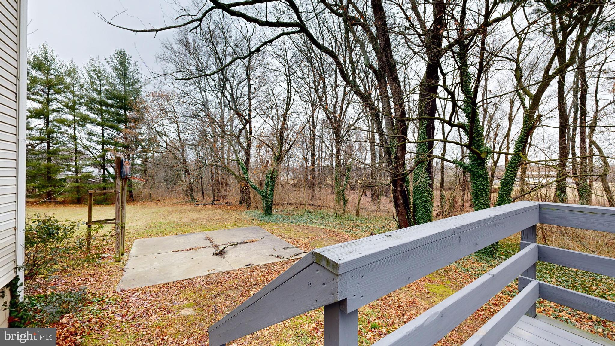 118 BLACKBIRD FOREST ROAD