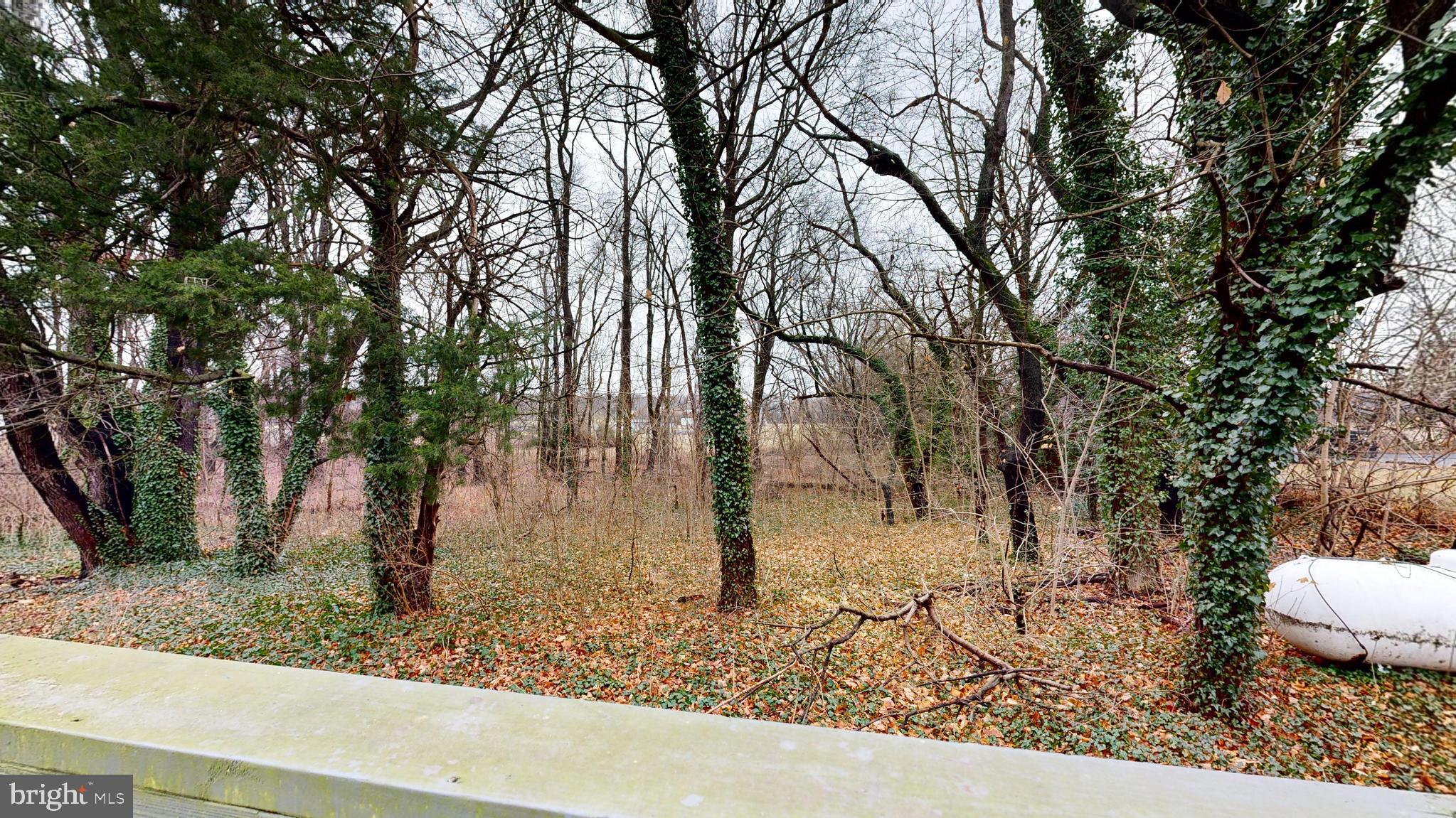 118 BLACKBIRD FOREST ROAD