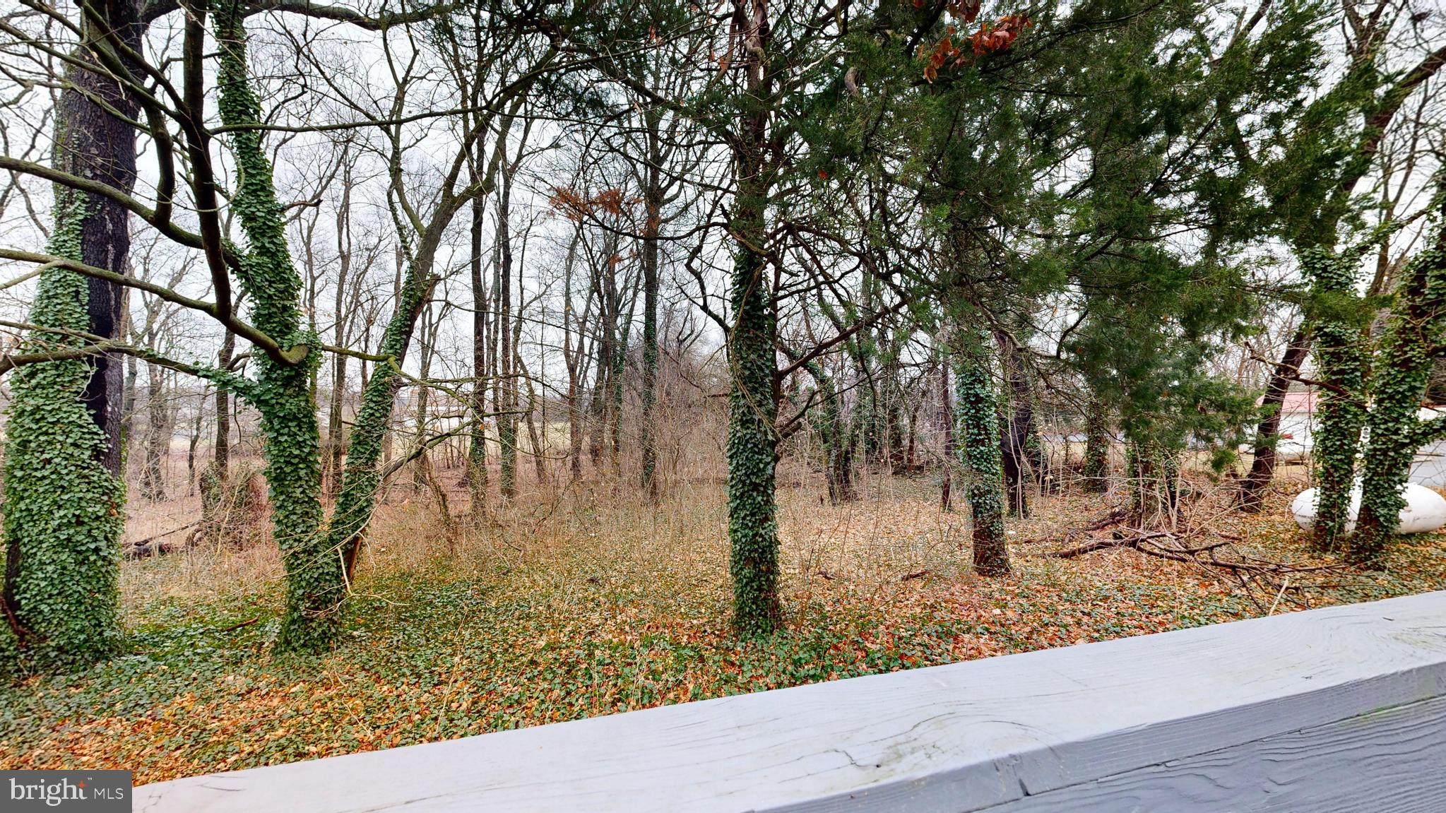 118 BLACKBIRD FOREST ROAD