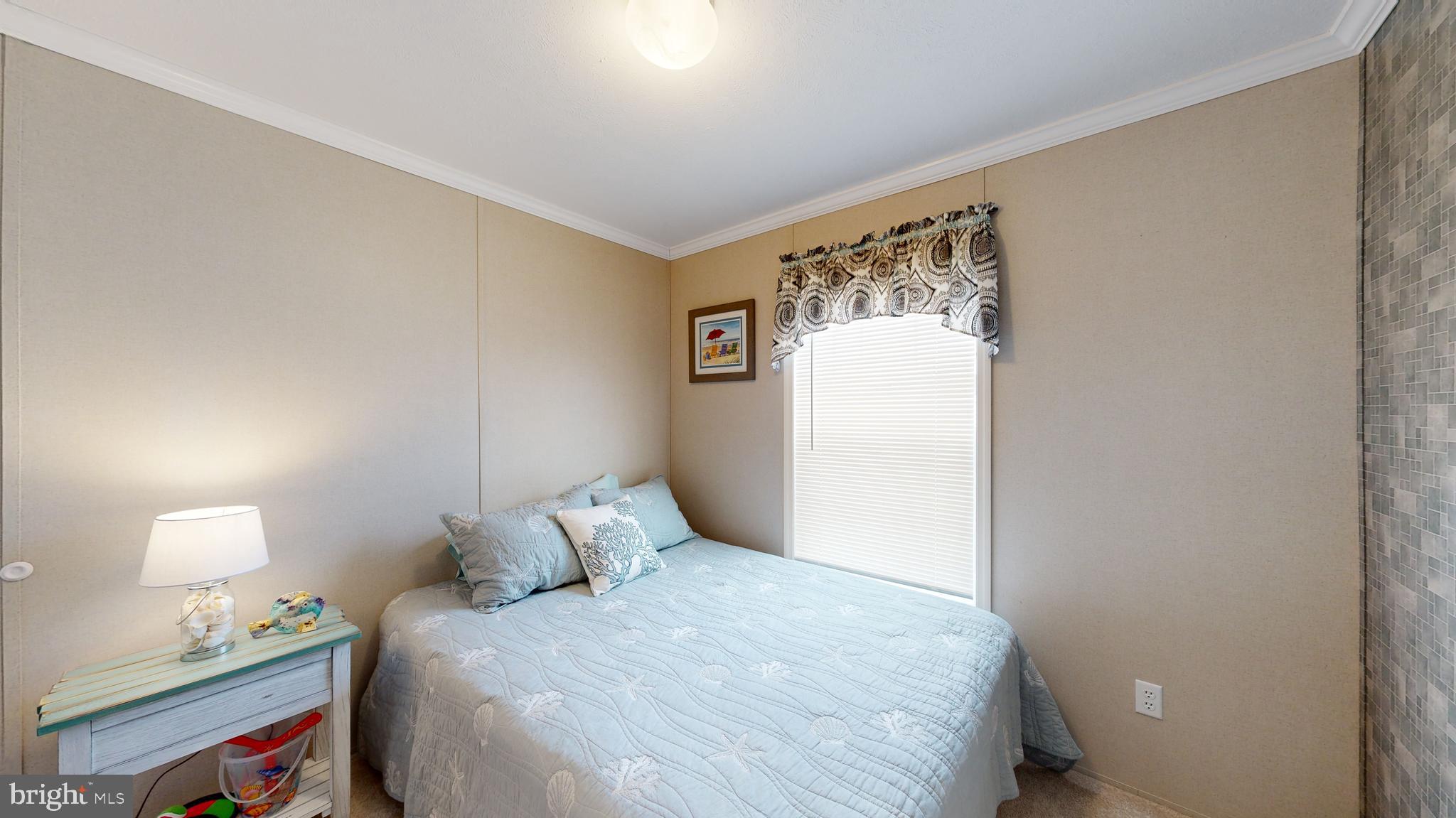 27599 WHELK LANE 56336