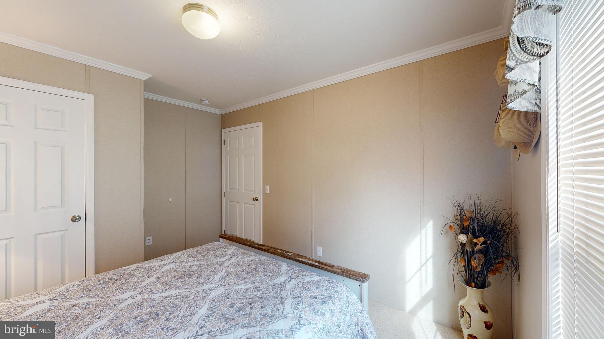 27599 WHELK LANE 56336