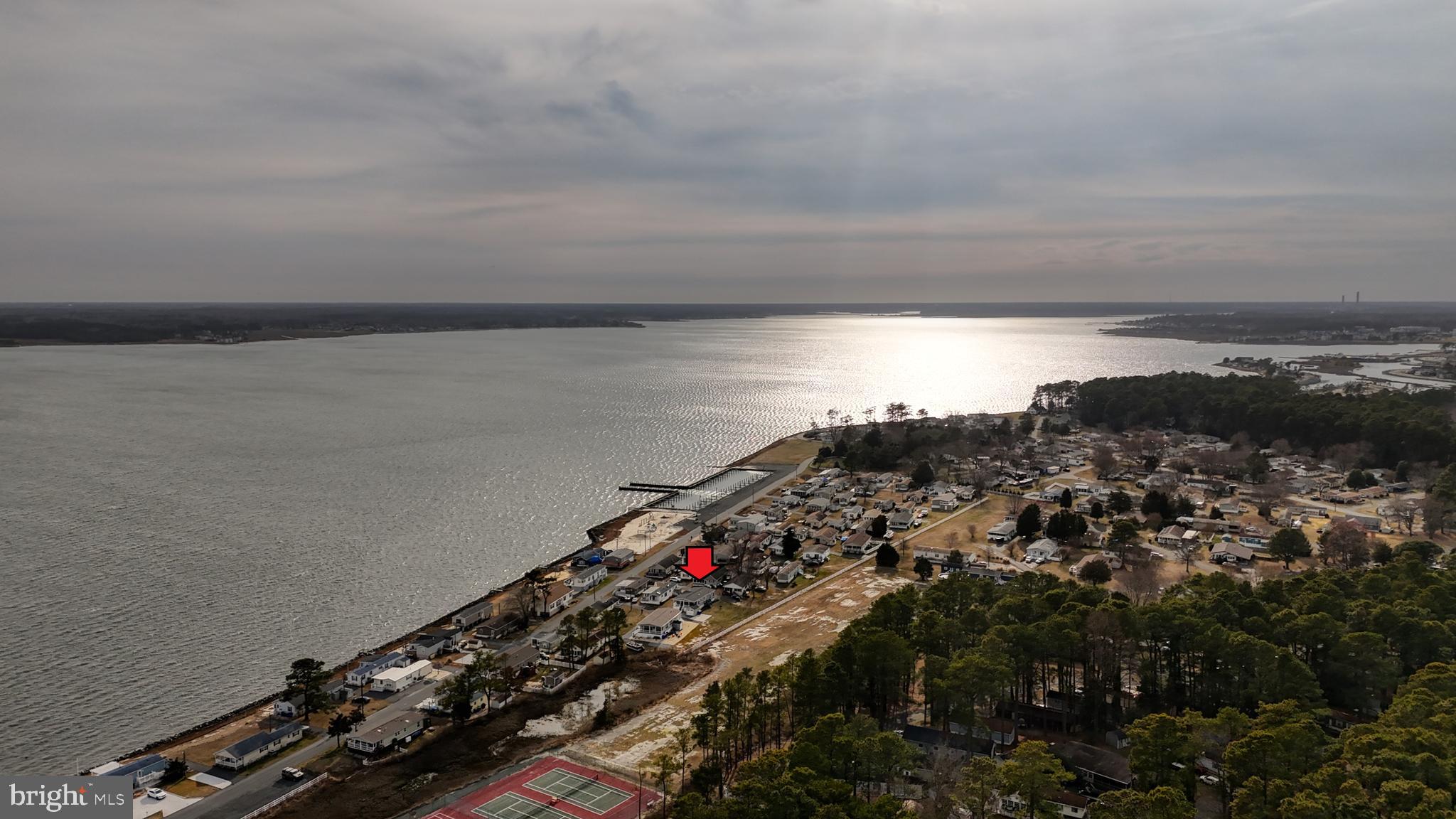 27599 WHELK LANE 56336