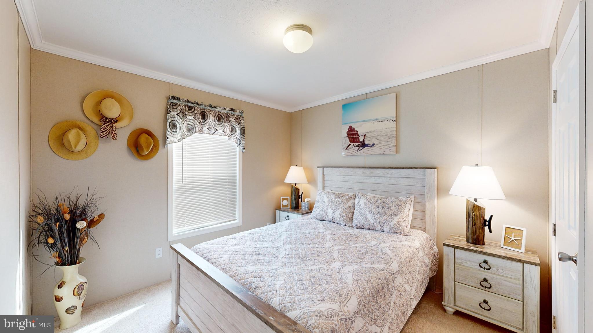 27599 WHELK LANE 56336