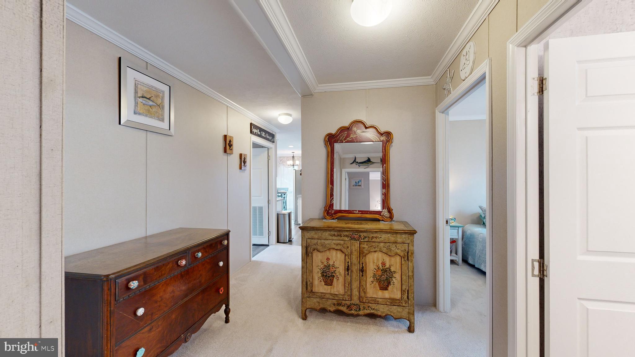 27599 WHELK LANE 56336