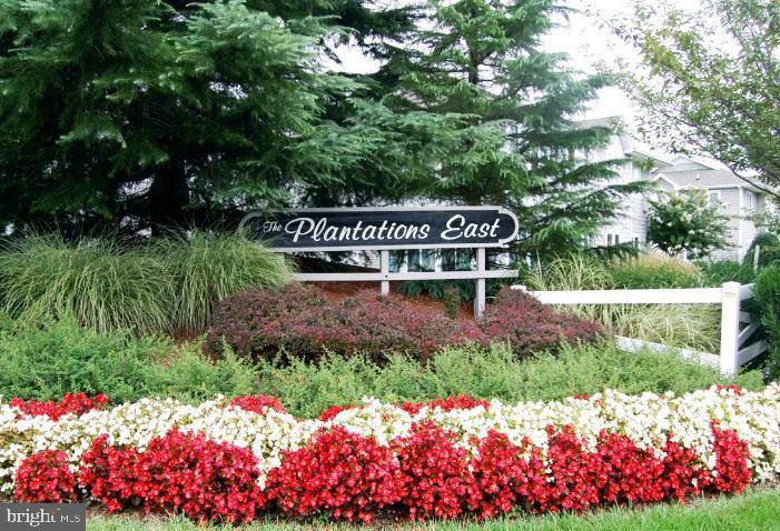 31 DOGWOOD AVENUE 5.3F