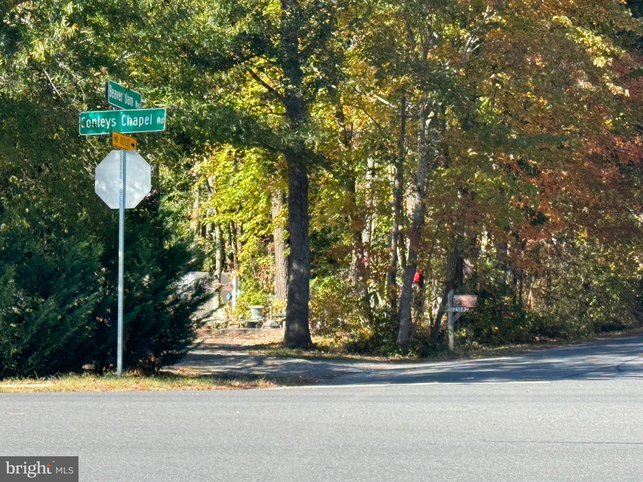 Lot 5 BEAVER DAM WAY
