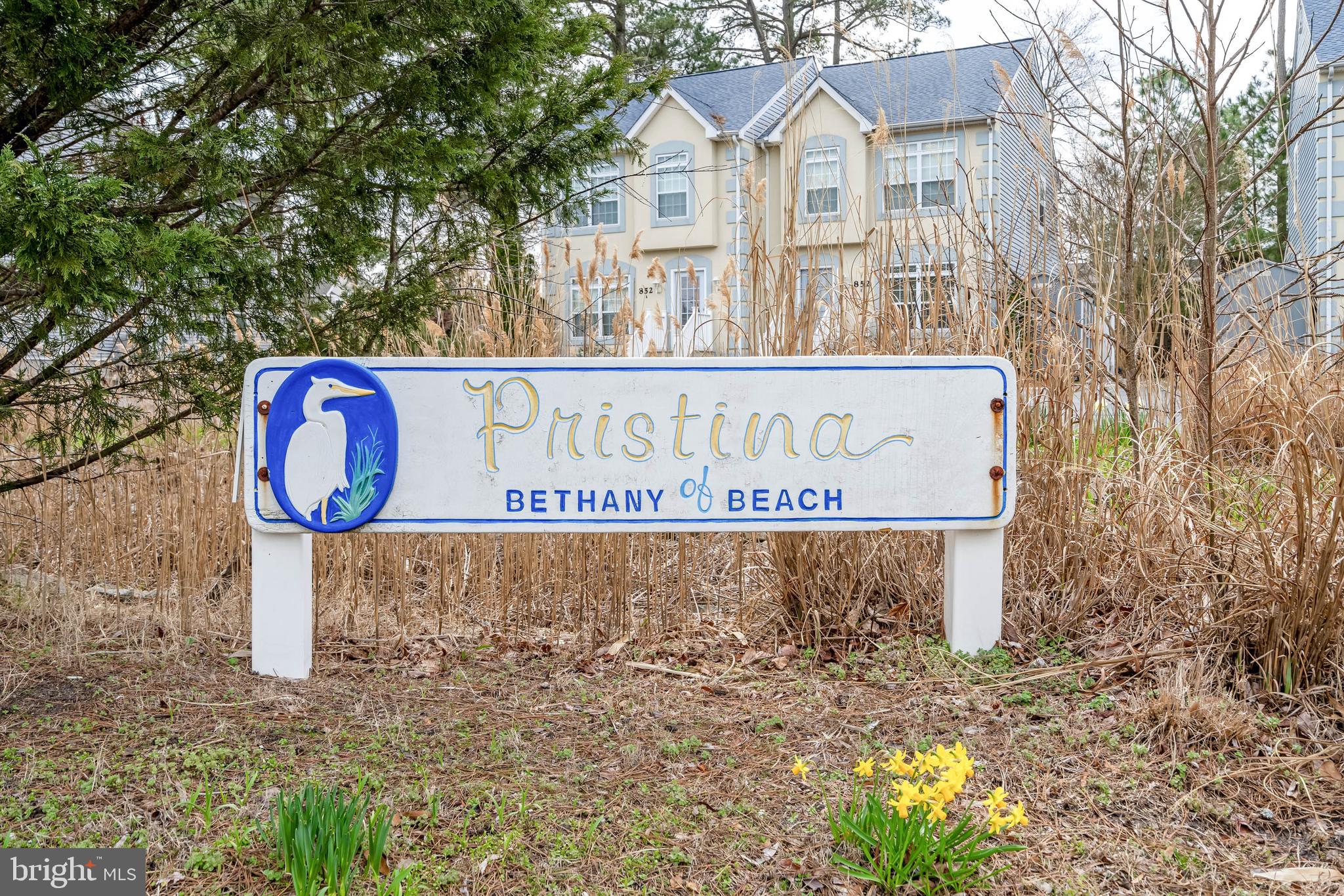 856 GARFIELD PARKWAY 856-B