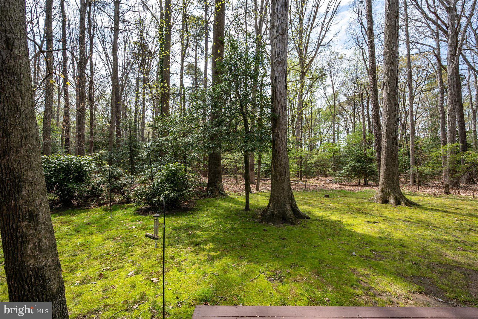 32222 SANDPIPER DRIVE