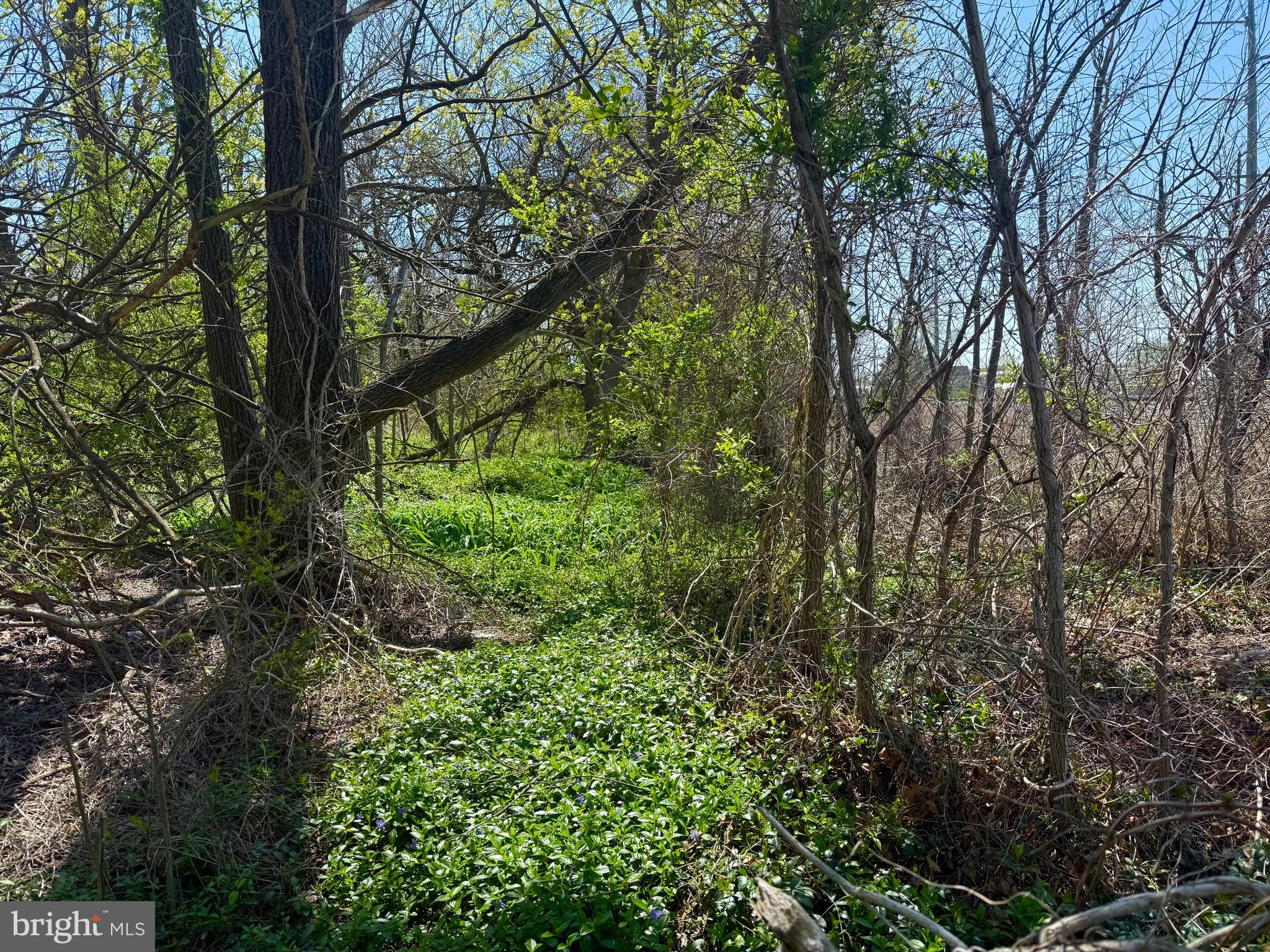 111 RAILROAD AVENUE