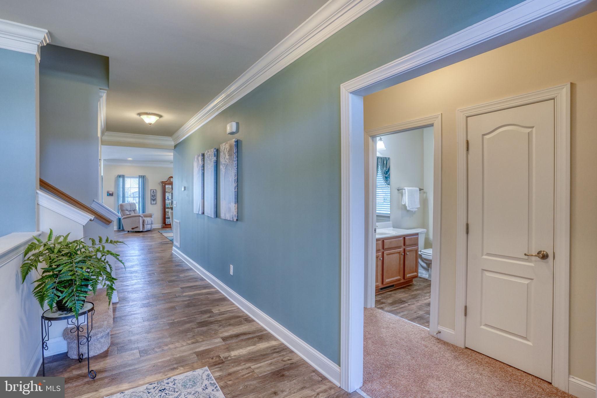 24840 MISTLETOE DRIVE