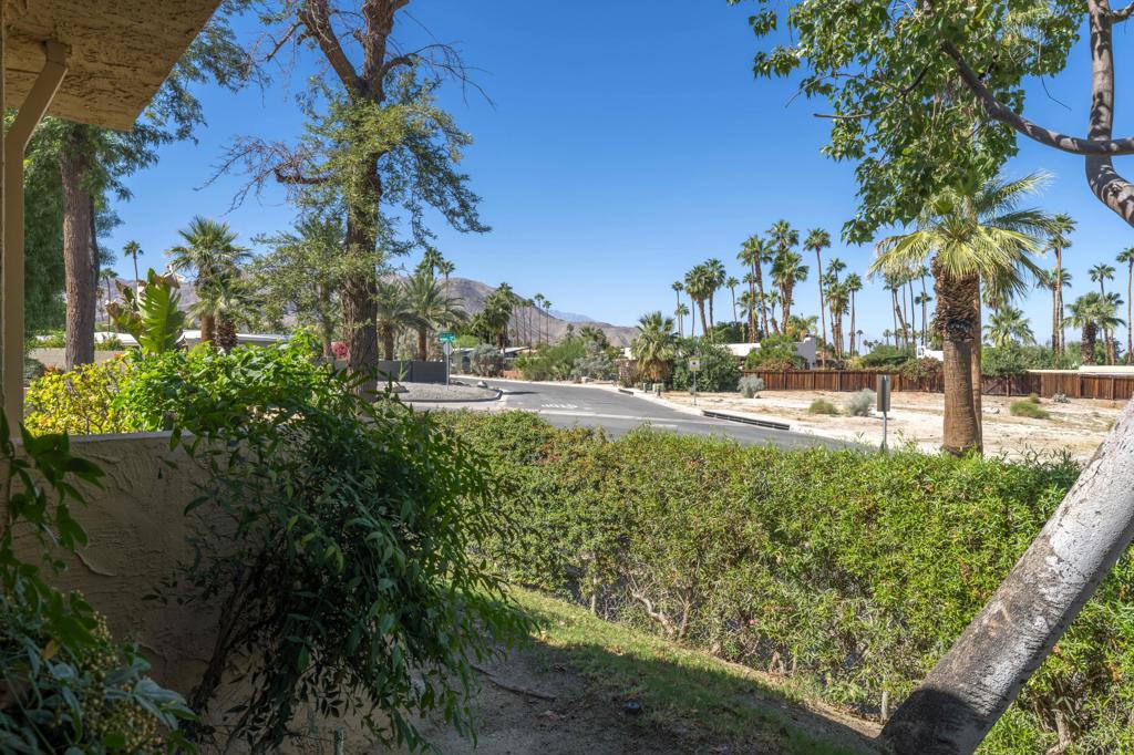 47678 Date Palm Court