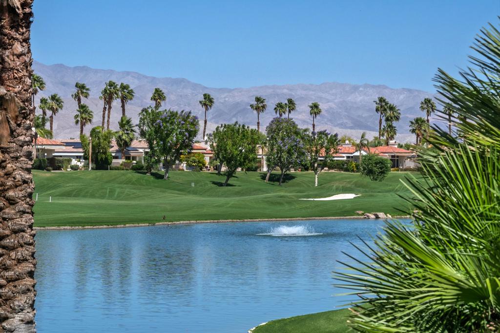 469 White Horse Trail