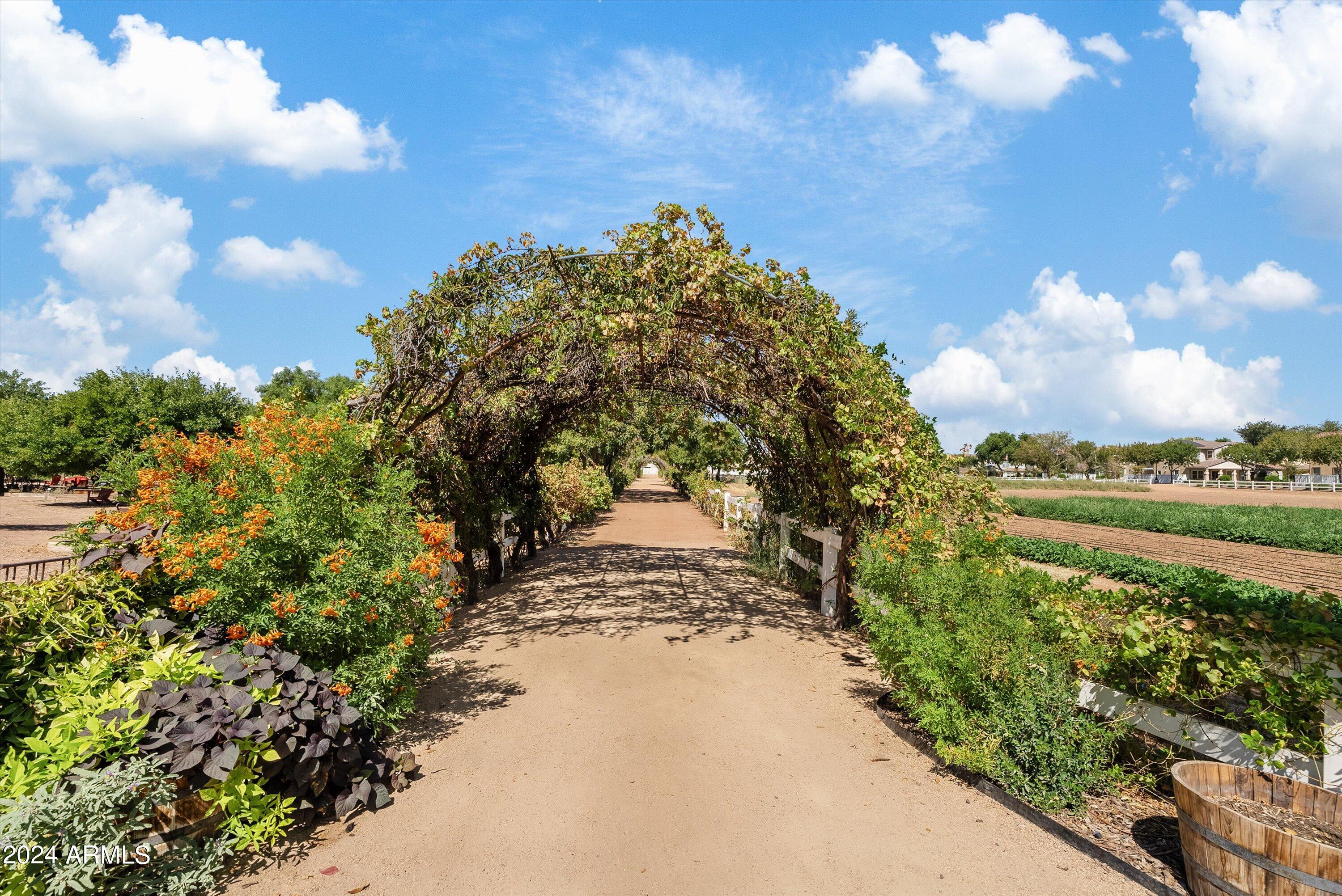 1368 S MULBERRY Street, Gilbert