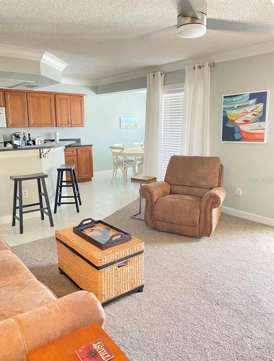 1125 PINELLAS BAYWAY S #201 furnished