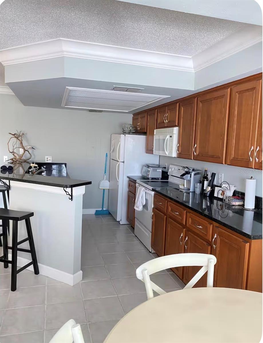 1125 PINELLAS BAYWAY S #201 furnished