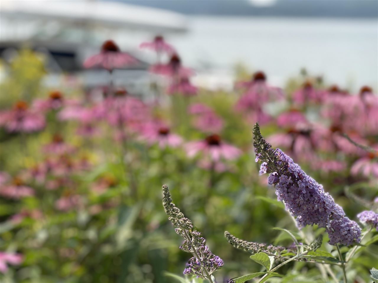 03106 Glenwood Beach Drive