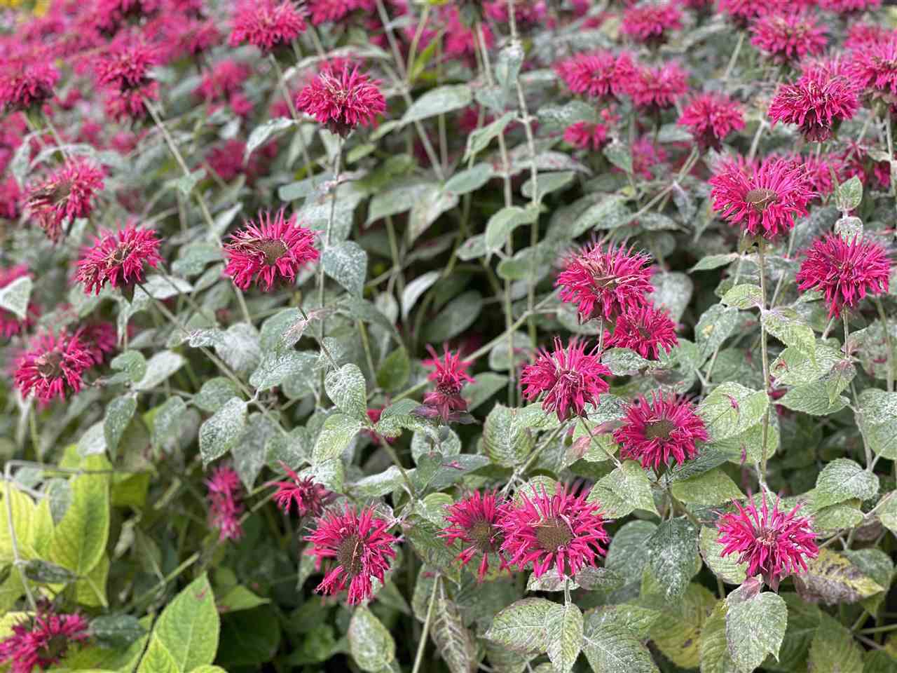 03106 Glenwood Beach Drive