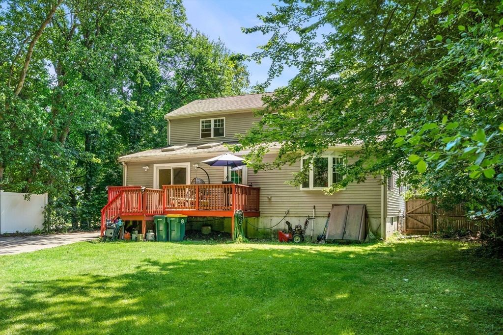 118 Thicket St