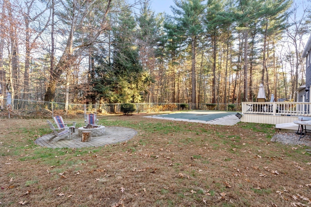 83 Cedar