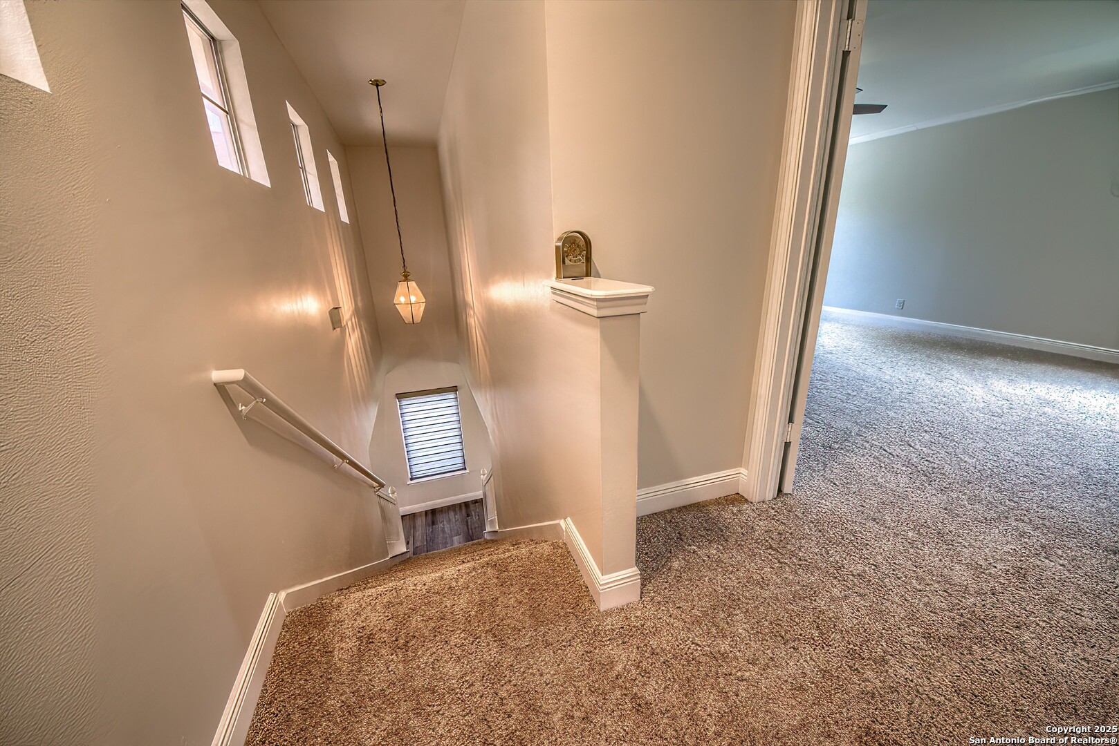 3512 McAlister