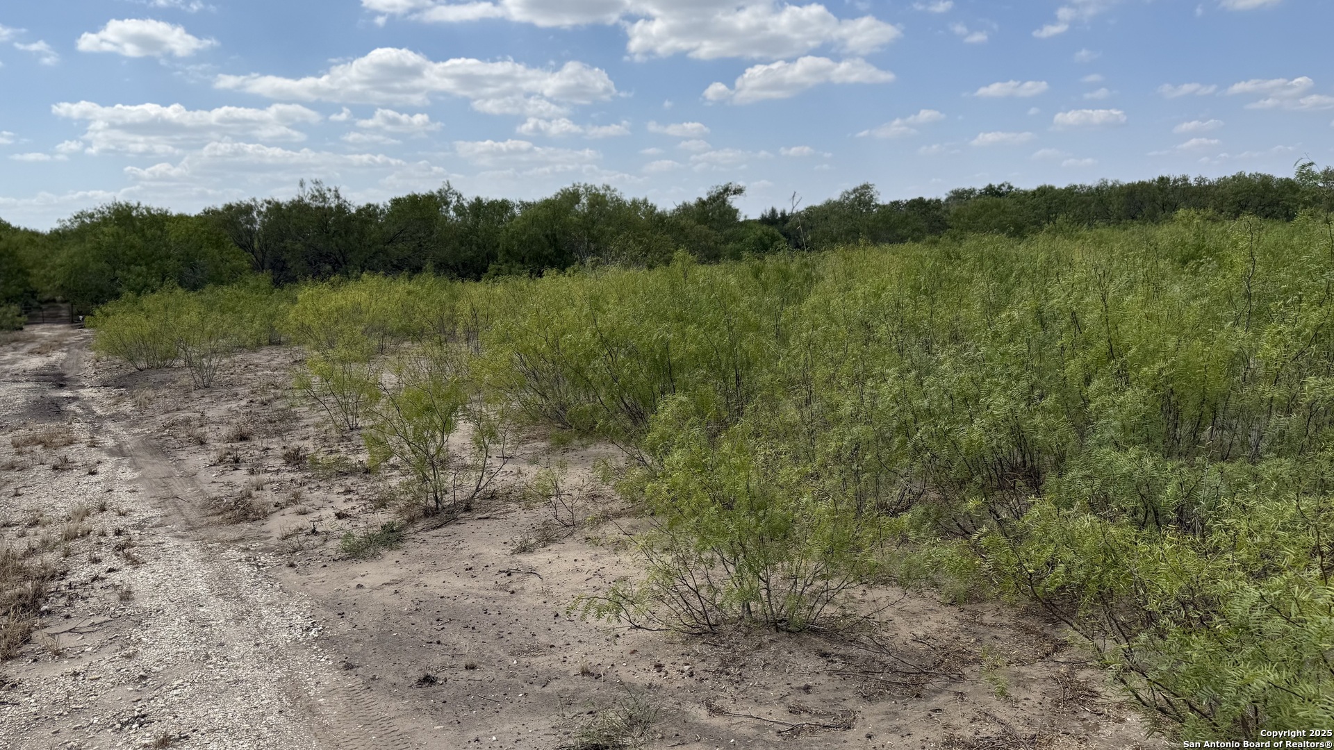 788 County Road 154