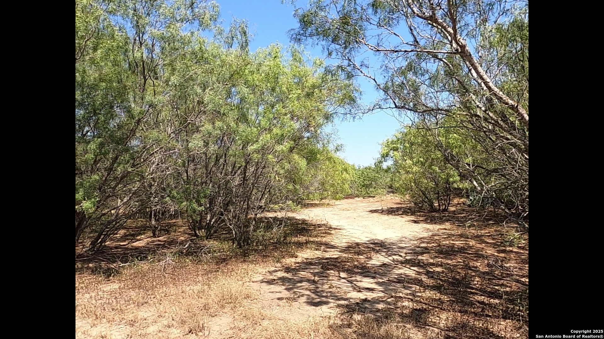 788 County Road 154