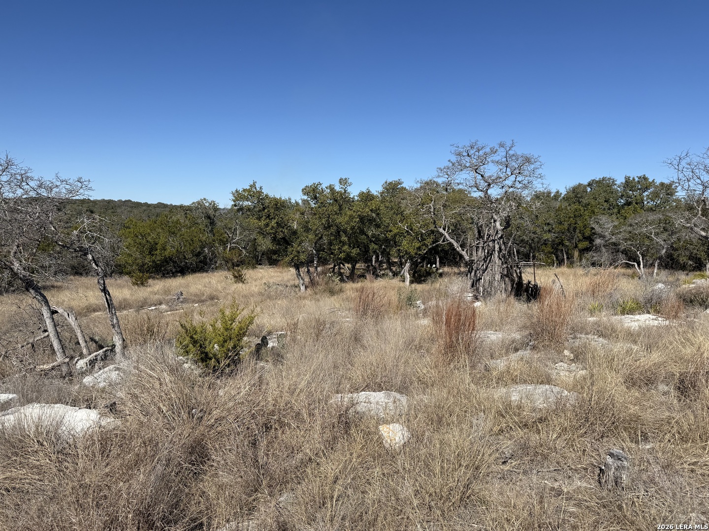 275 Rough Hollow