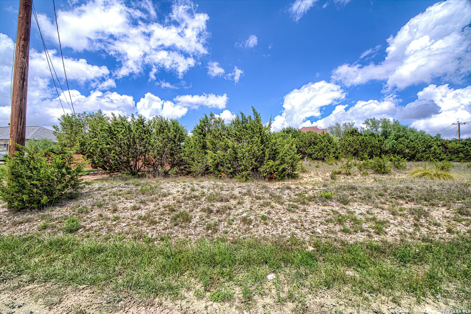 27301 Timberline