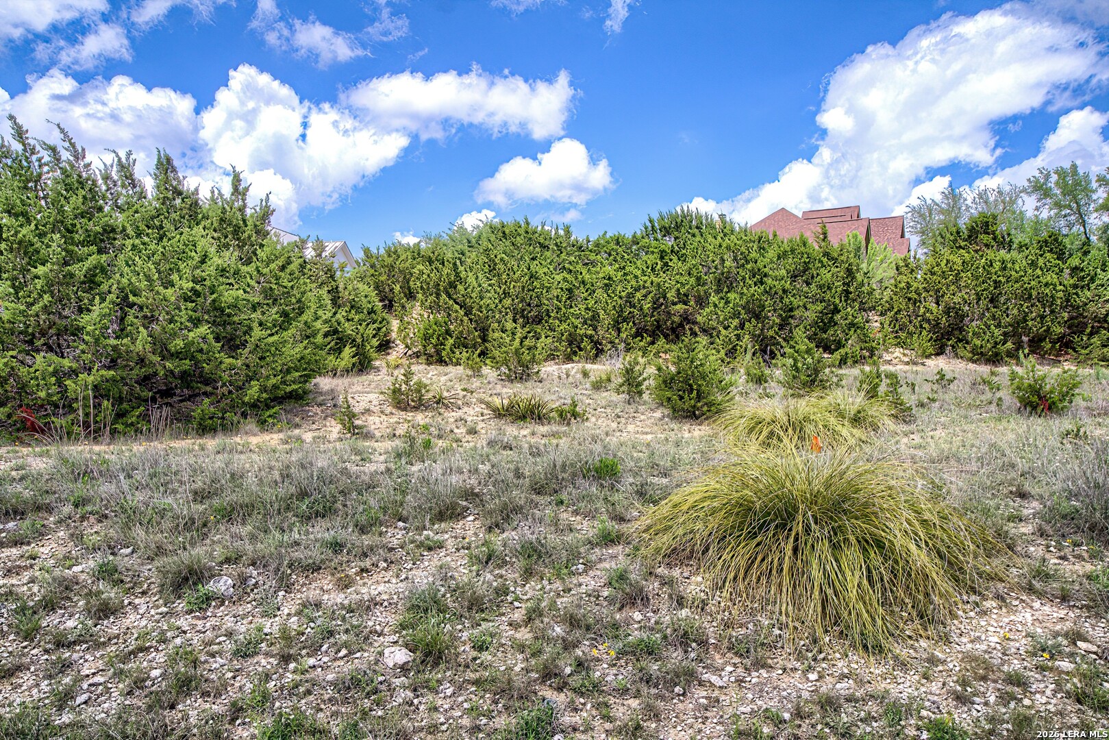 27301 Timberline