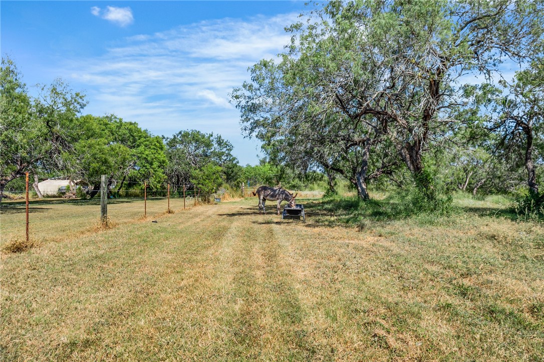 23107 County Road 1092