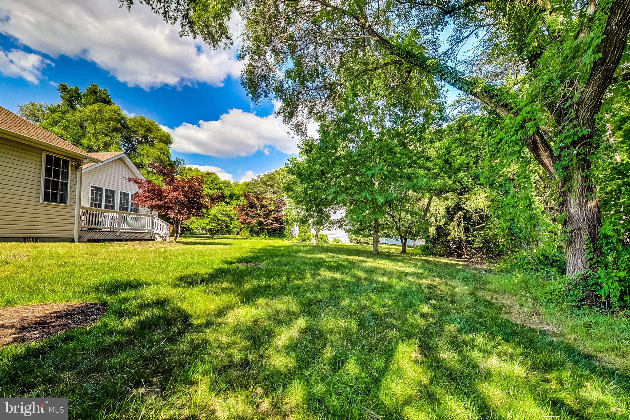 1909 Cameron Ridge Rd