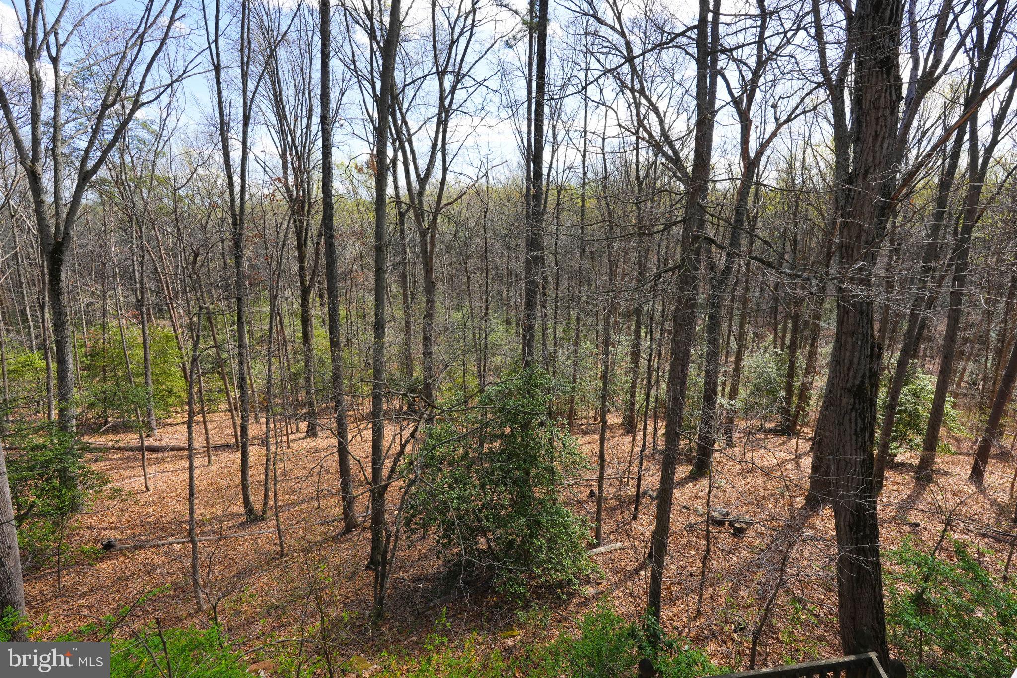 226 Pegasus Ct